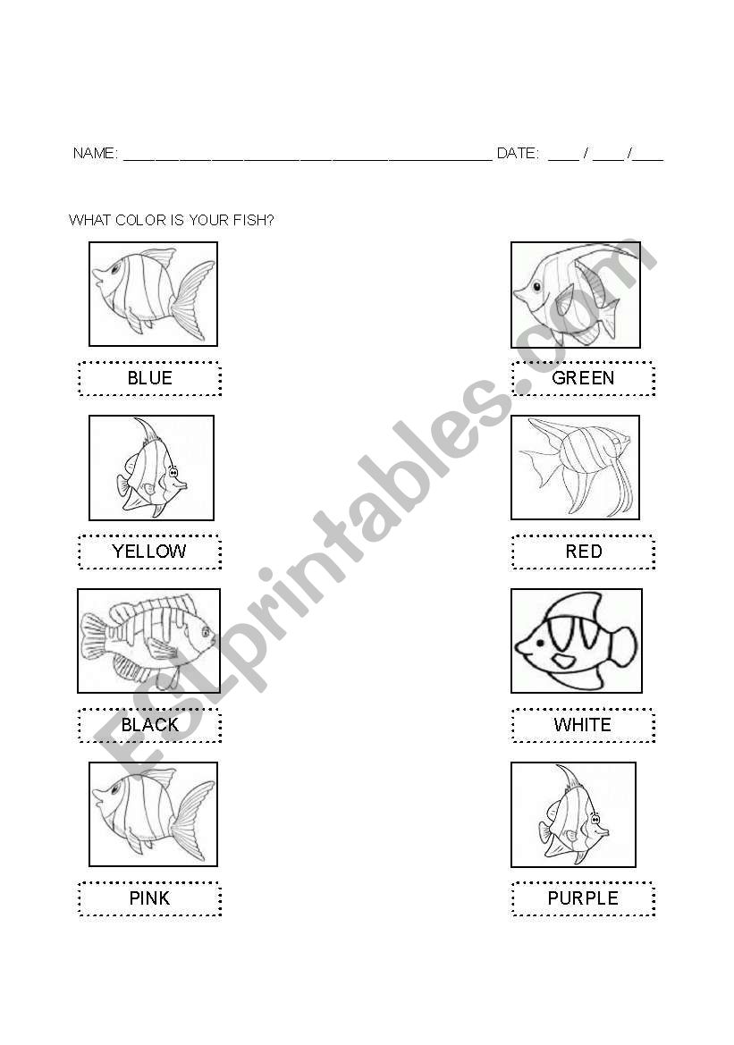 What color is your fish? worksheet