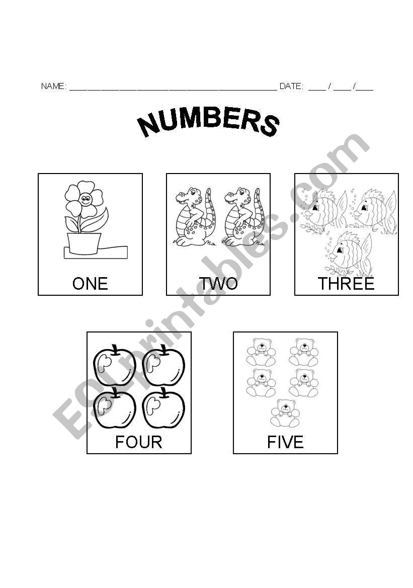 Numbers worksheet