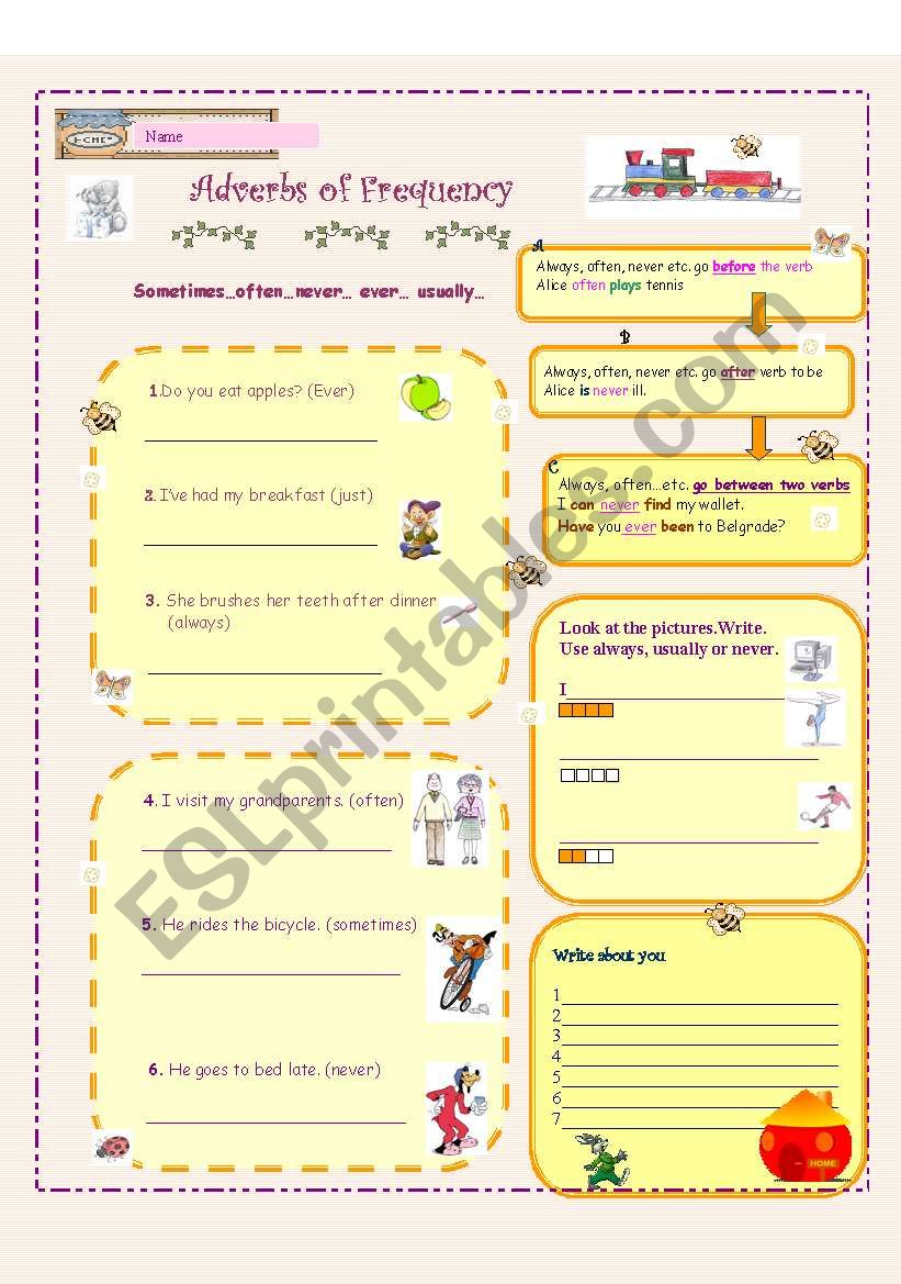 Adverbs of Frequency worksheet