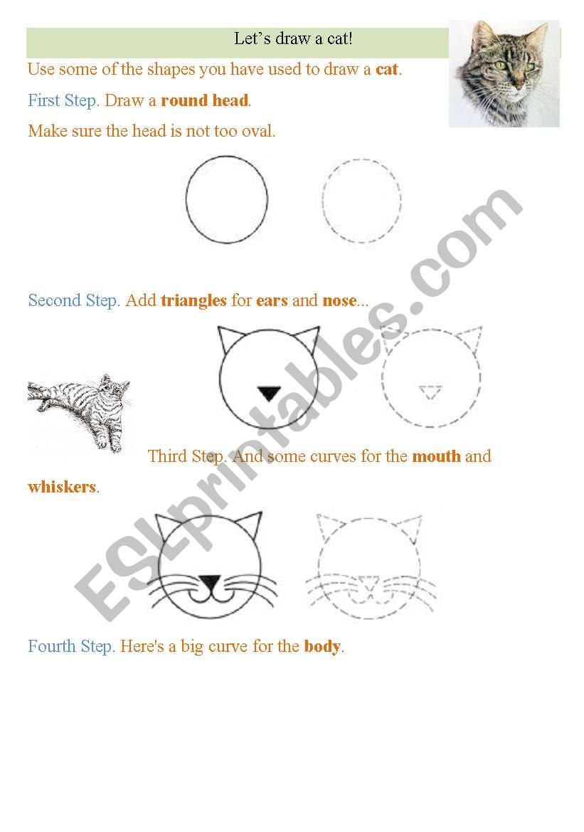 lets draw a cat. worksheet