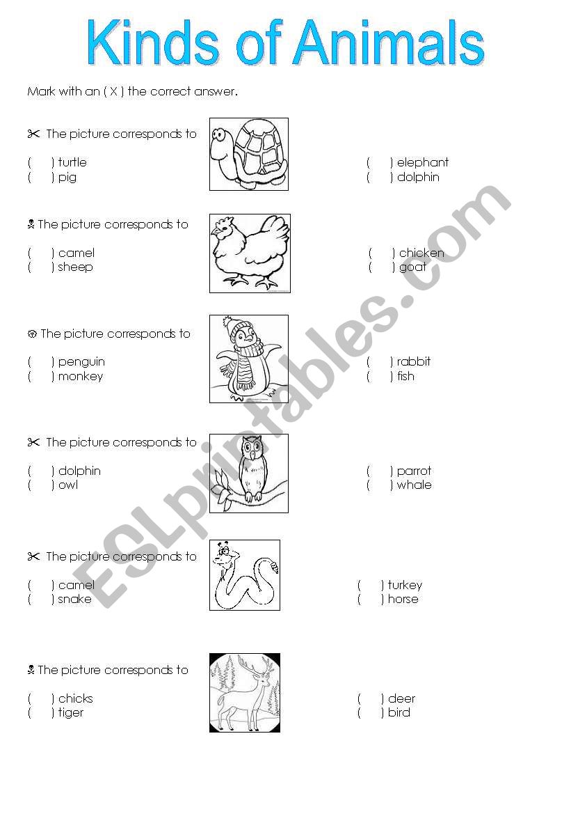 Kinds of Animals worksheet