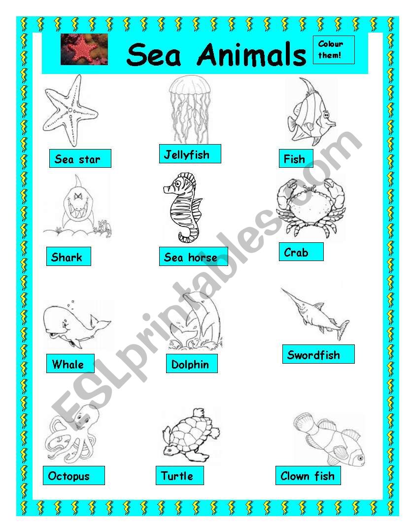 Sea Animals  worksheet