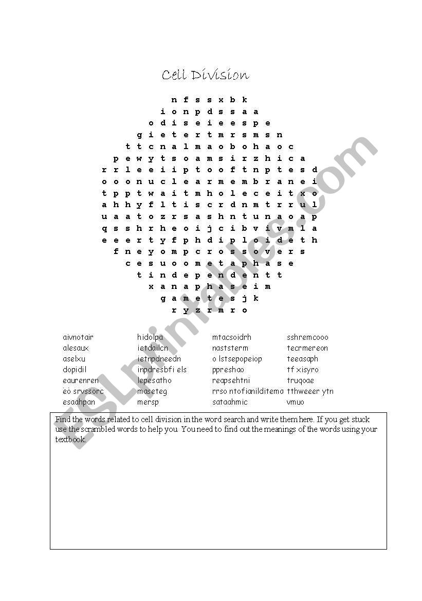 Cell Division Wordsearch A level