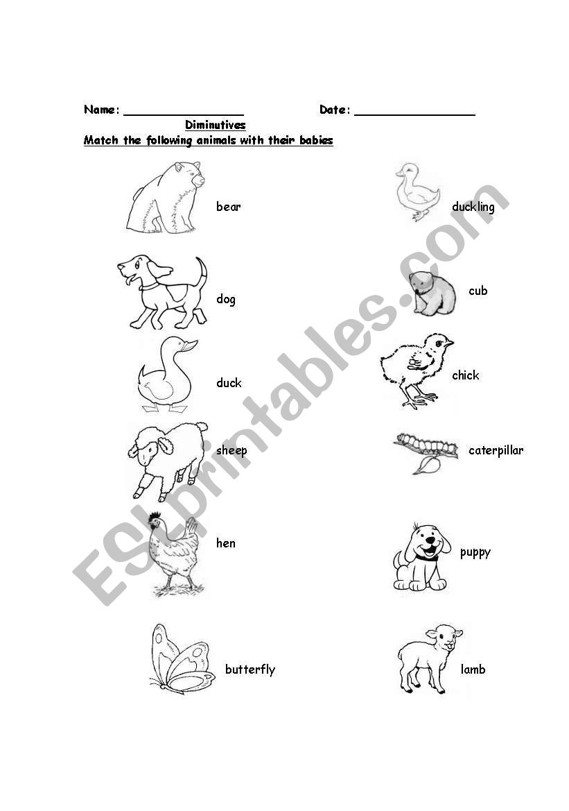 Diminutives (Young ones) worksheet