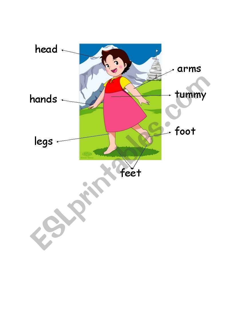 Body parts worksheet