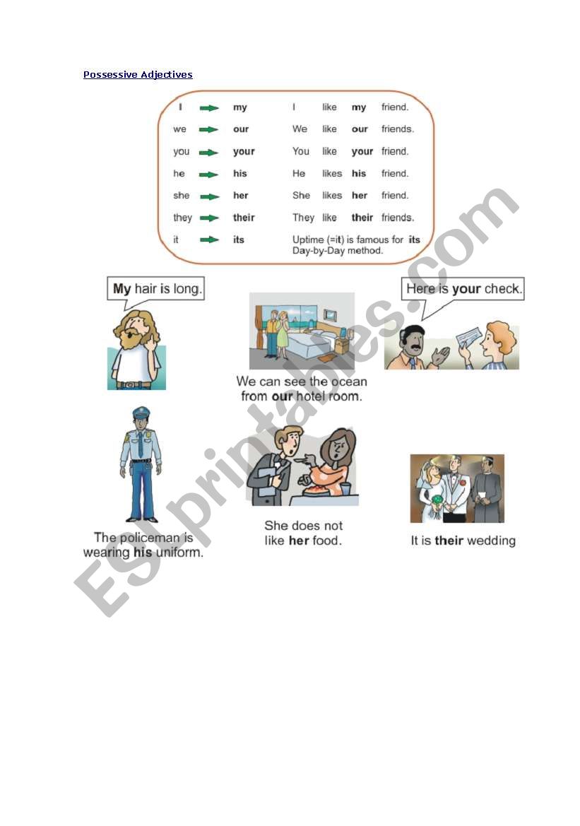 Possessives worksheet