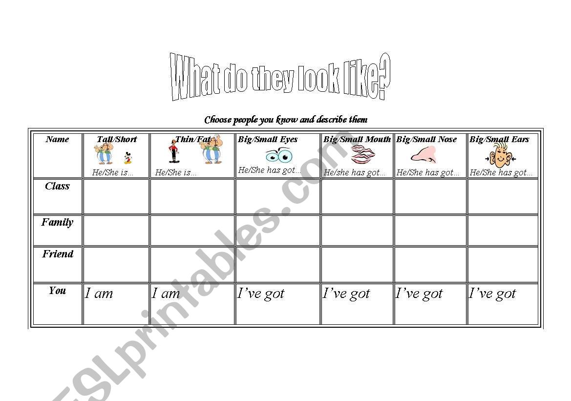 what do they look like? worksheet