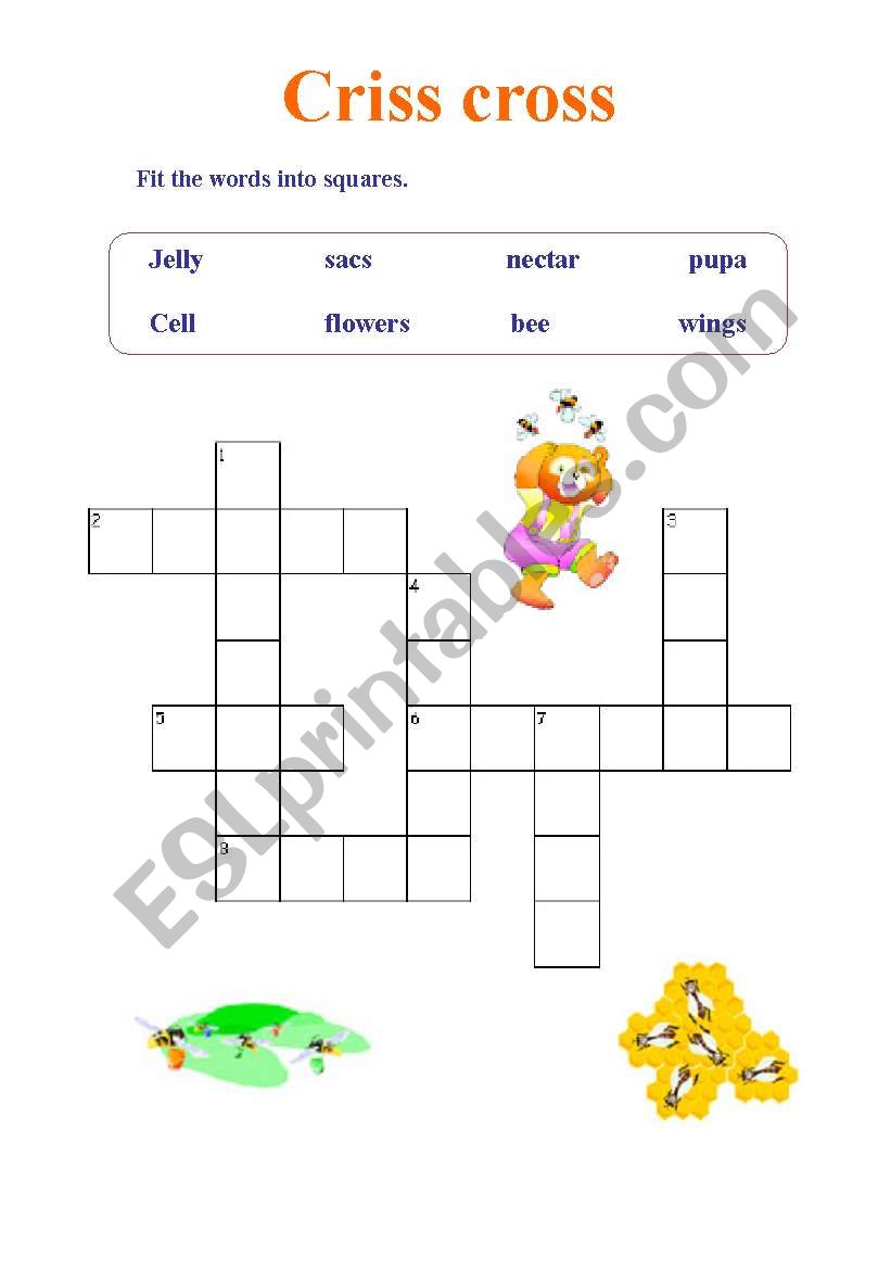 Criss cross worksheet