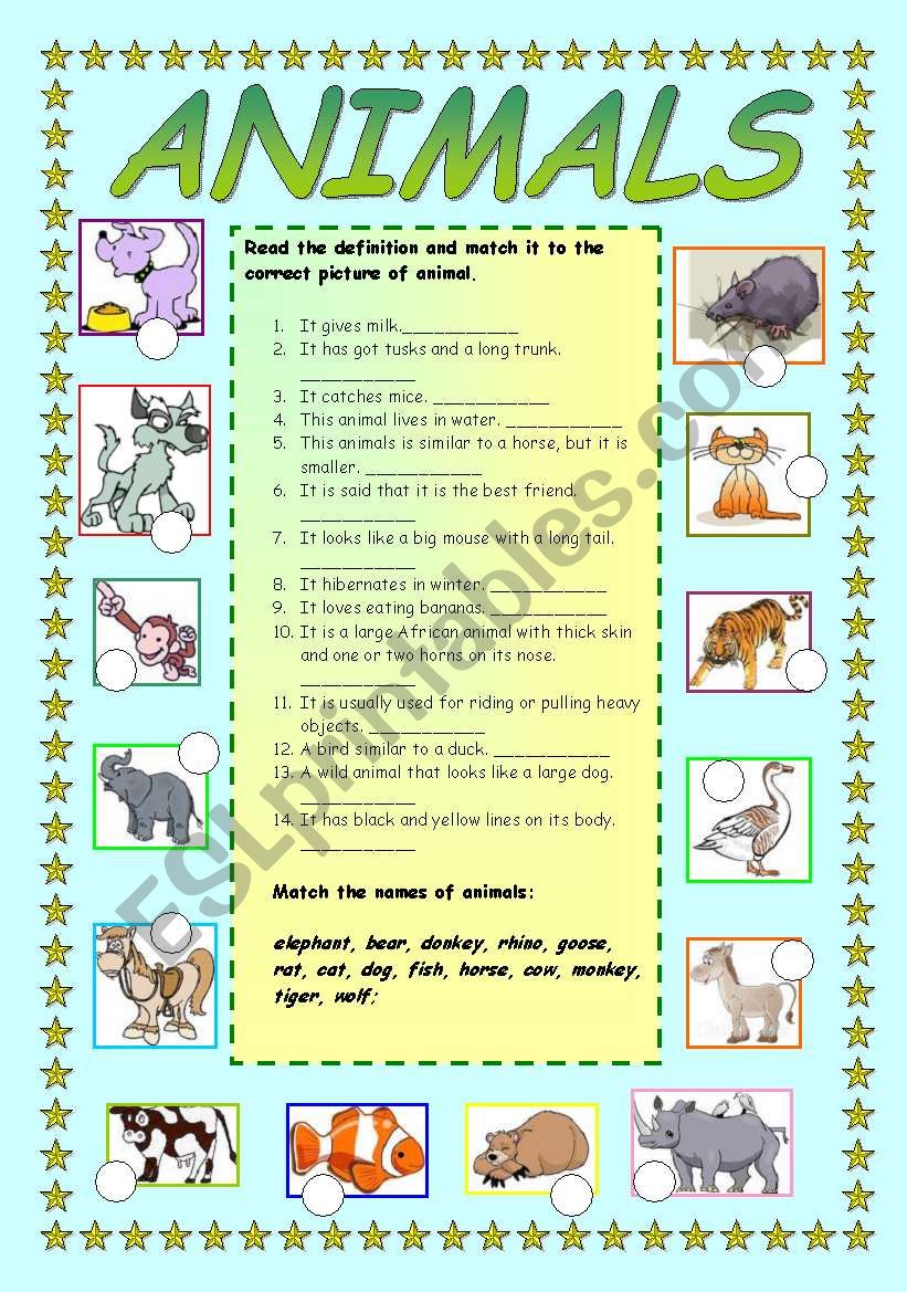 Animals - matching a definition to a picture - ESL worksheet by Ania Z