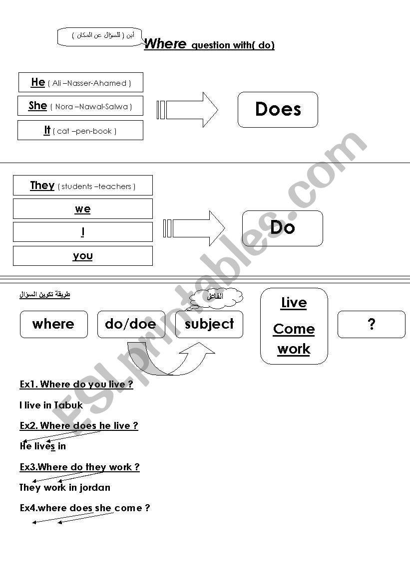 where questions worksheet