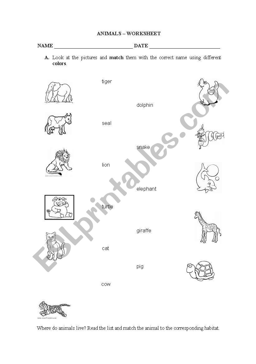ANIMALS - WORKSHEET worksheet