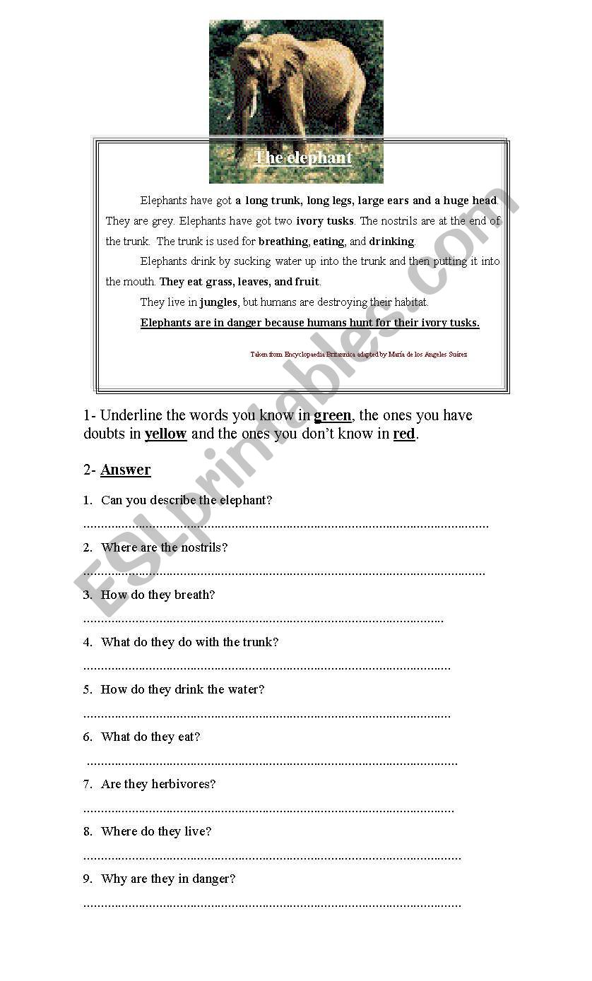 Reading Comp  worksheet