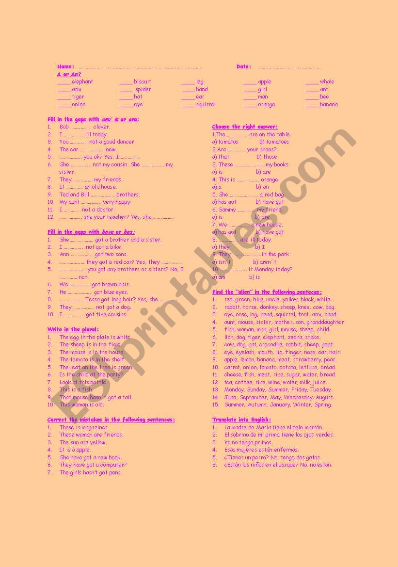 Review (Elementary) worksheet