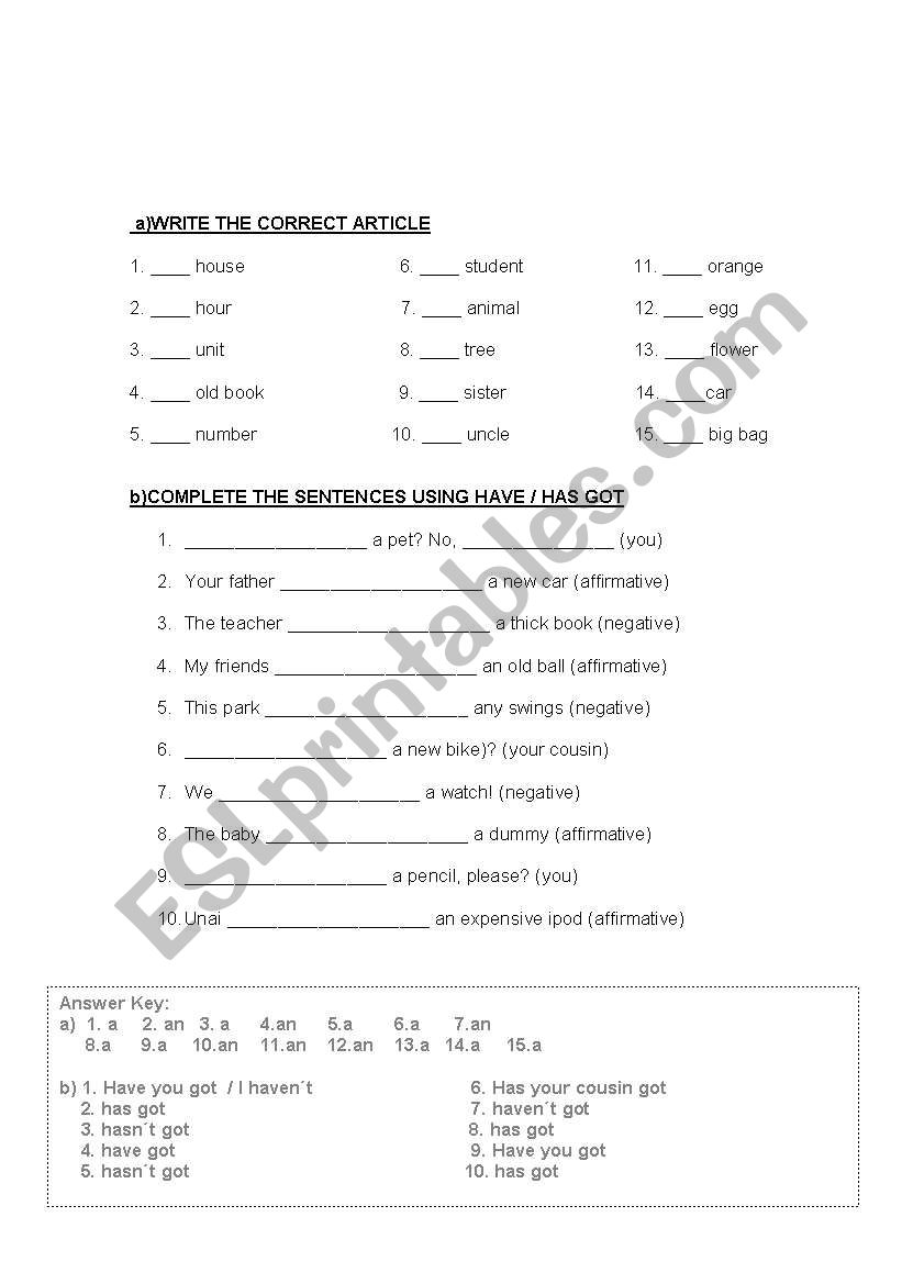 grammar a / an article & have / has got