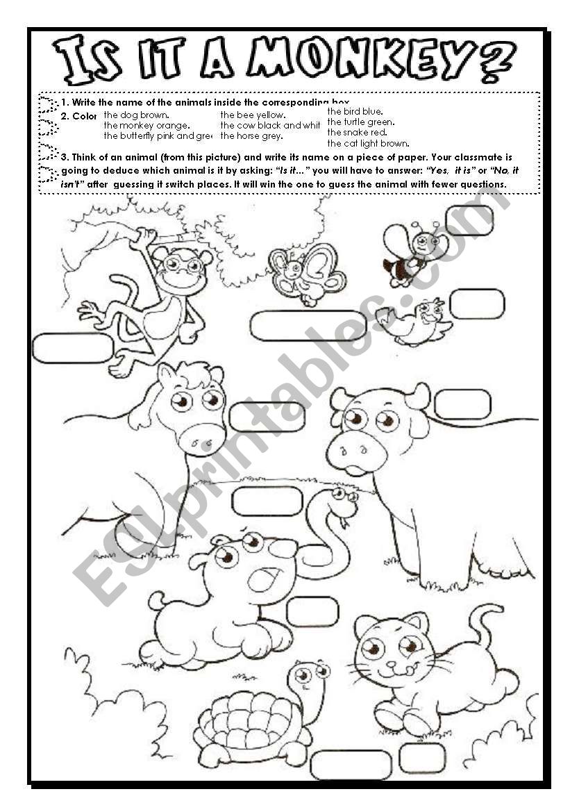 Is it a monkey? worksheet