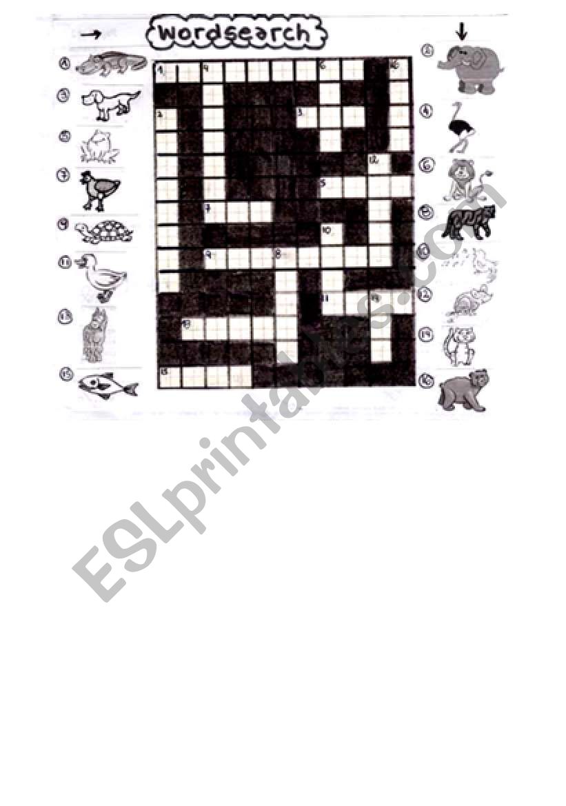 ANIMALS CROSSWORD worksheet