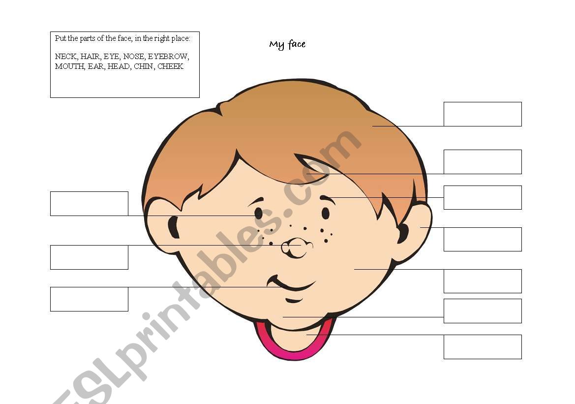 boyÂ´s face worksheet