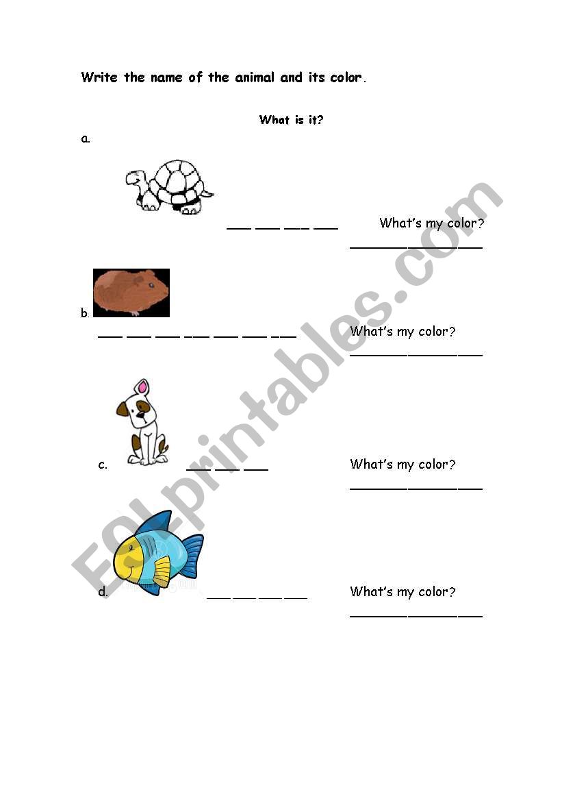 animals worksheet