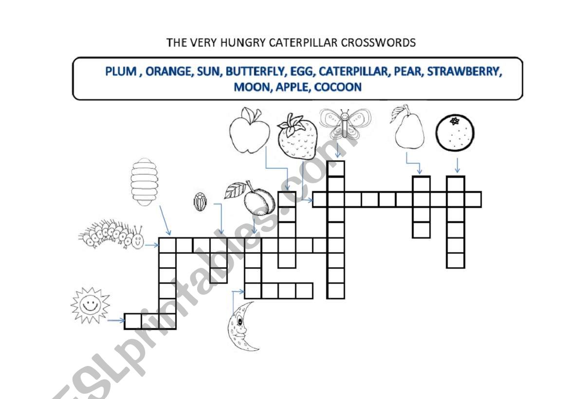 the  very hungry caterpillar worksheet