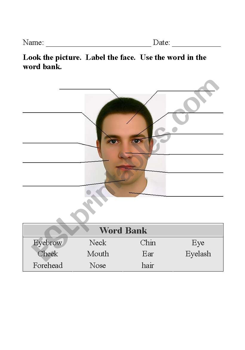 The Face worksheet