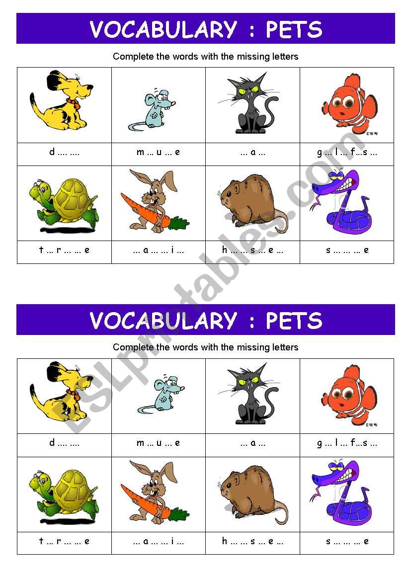 PETS vocabulary worksheet