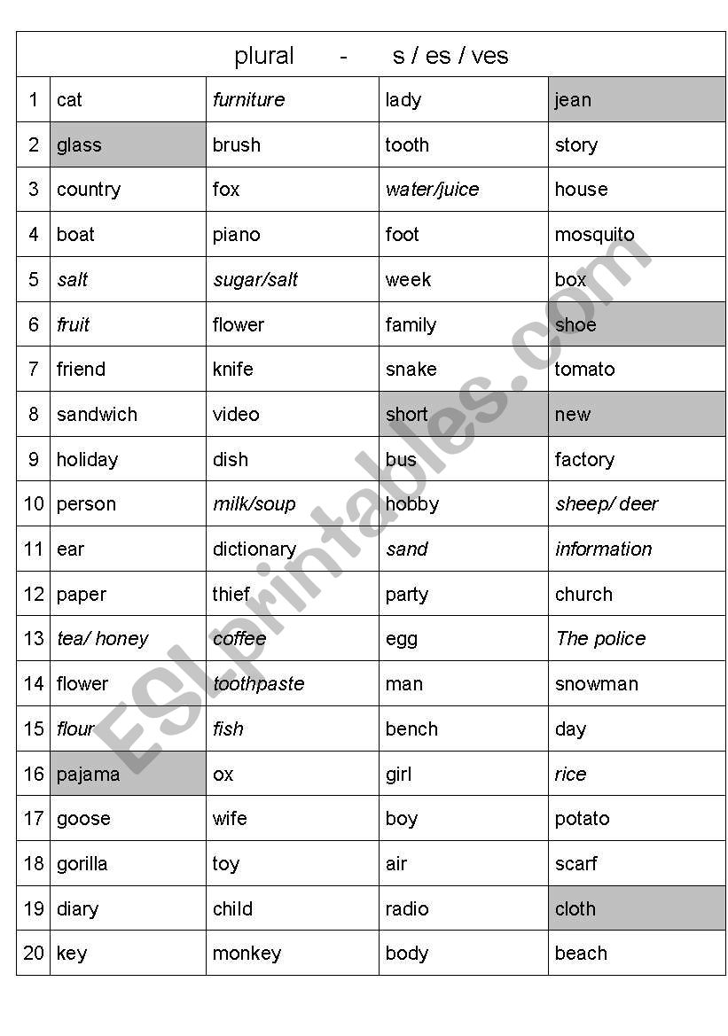 Grammar practice for singular to plural