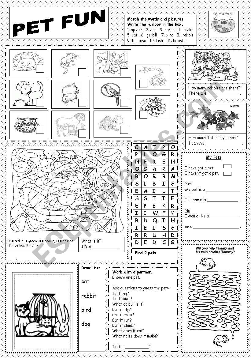 Pet Fun worksheet