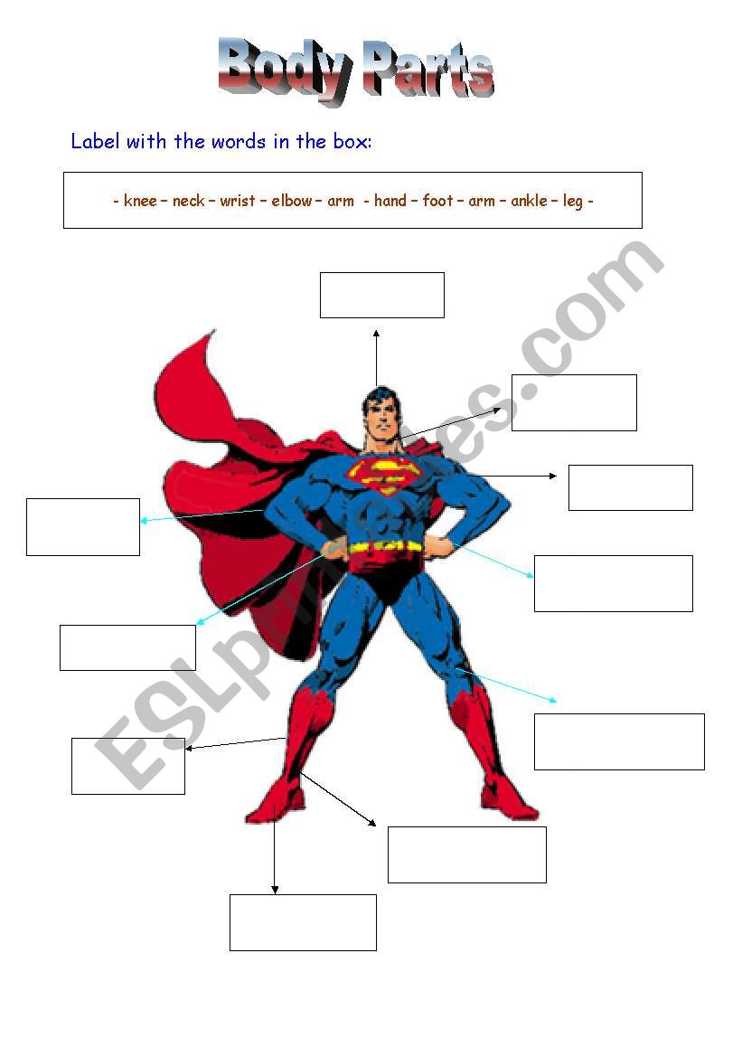 Body Parts worksheet