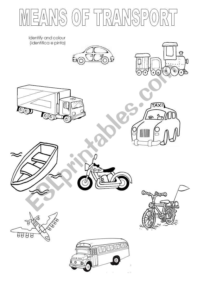 Means of transport worksheet