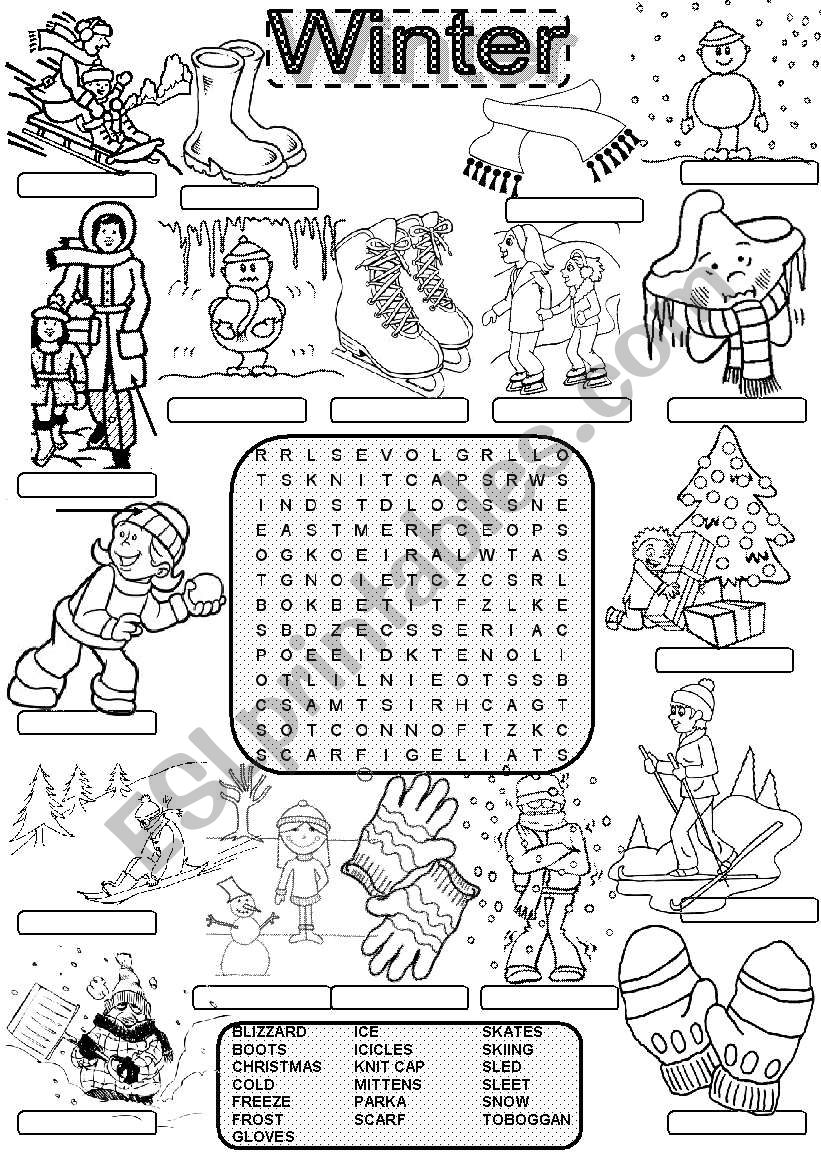 Wordsearch WINTER worksheet