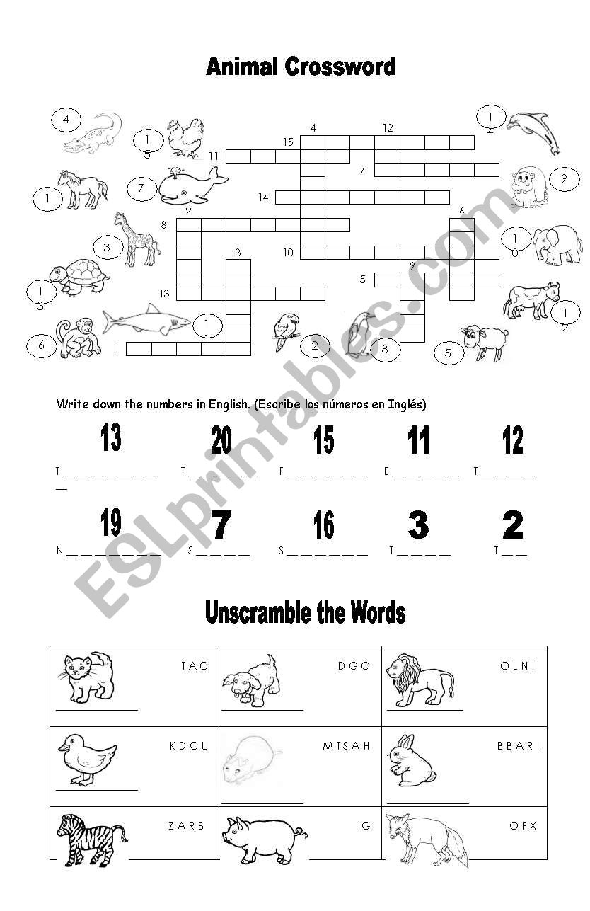 ANIMALS AND NUMBERS worksheet