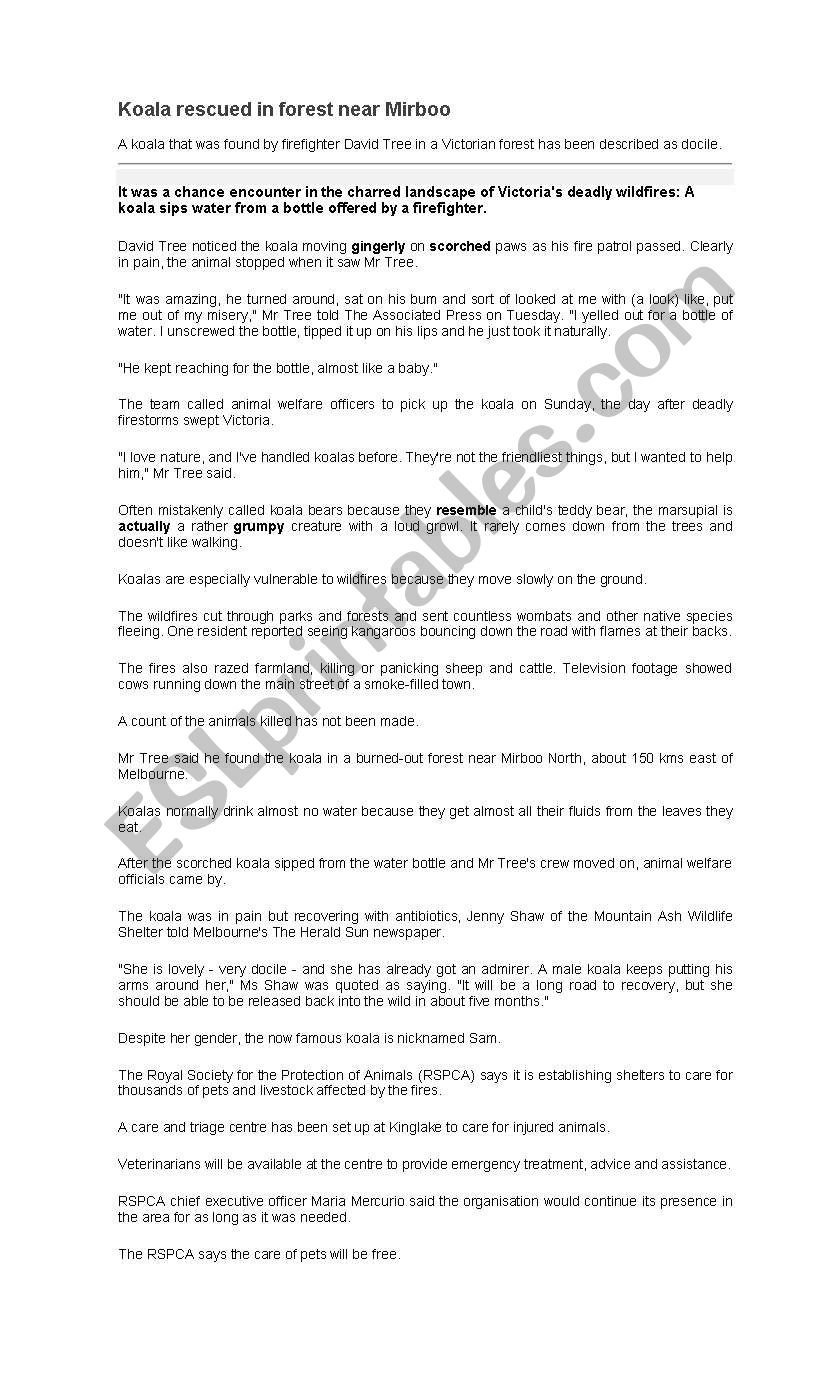 Koala Rescue worksheet