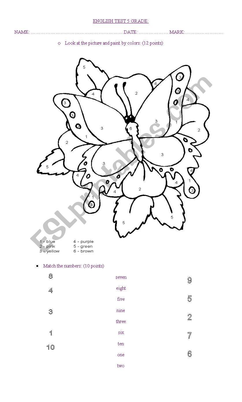 Test about colors and numbers worksheet