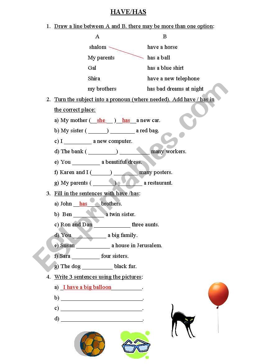 HAVE/HAS  worksheet