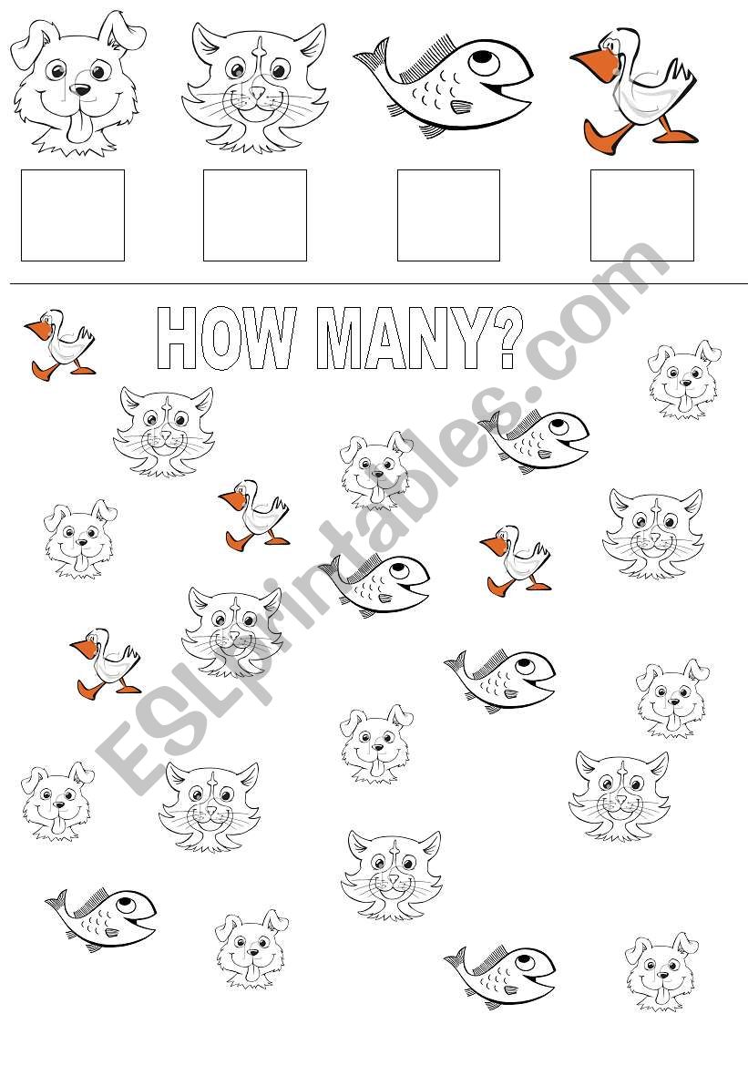 animals worksheet