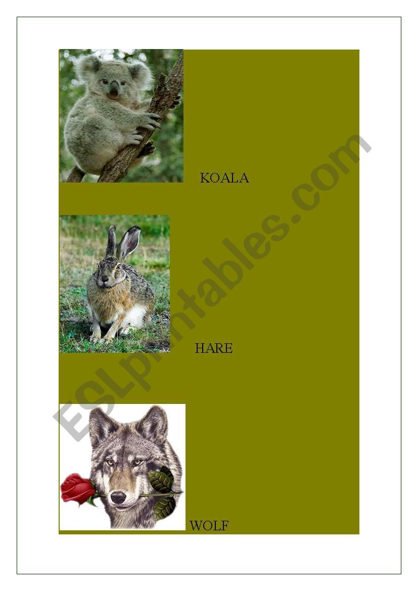 Wild flashcards worksheet