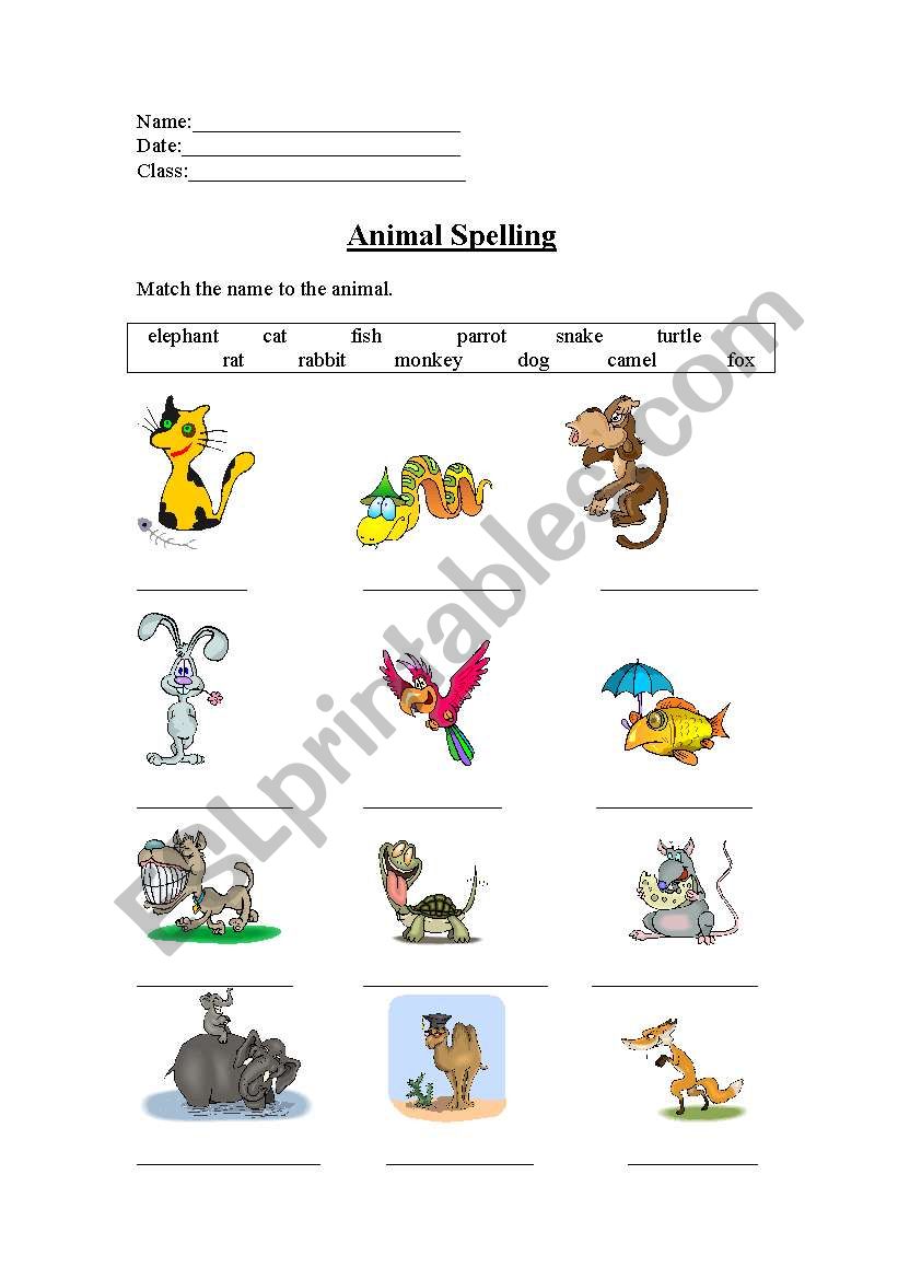 Animal Spelling worksheet