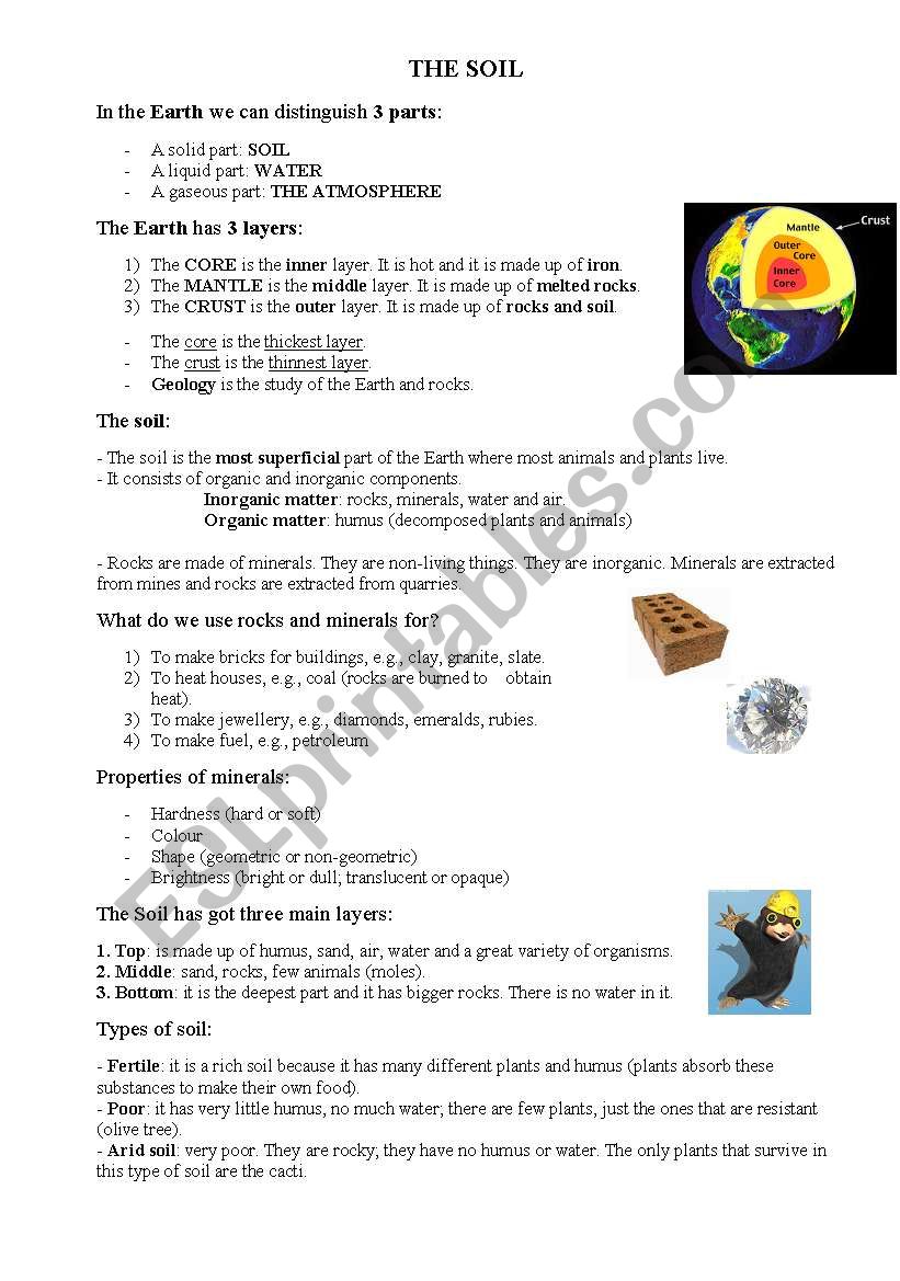 the soil worksheet