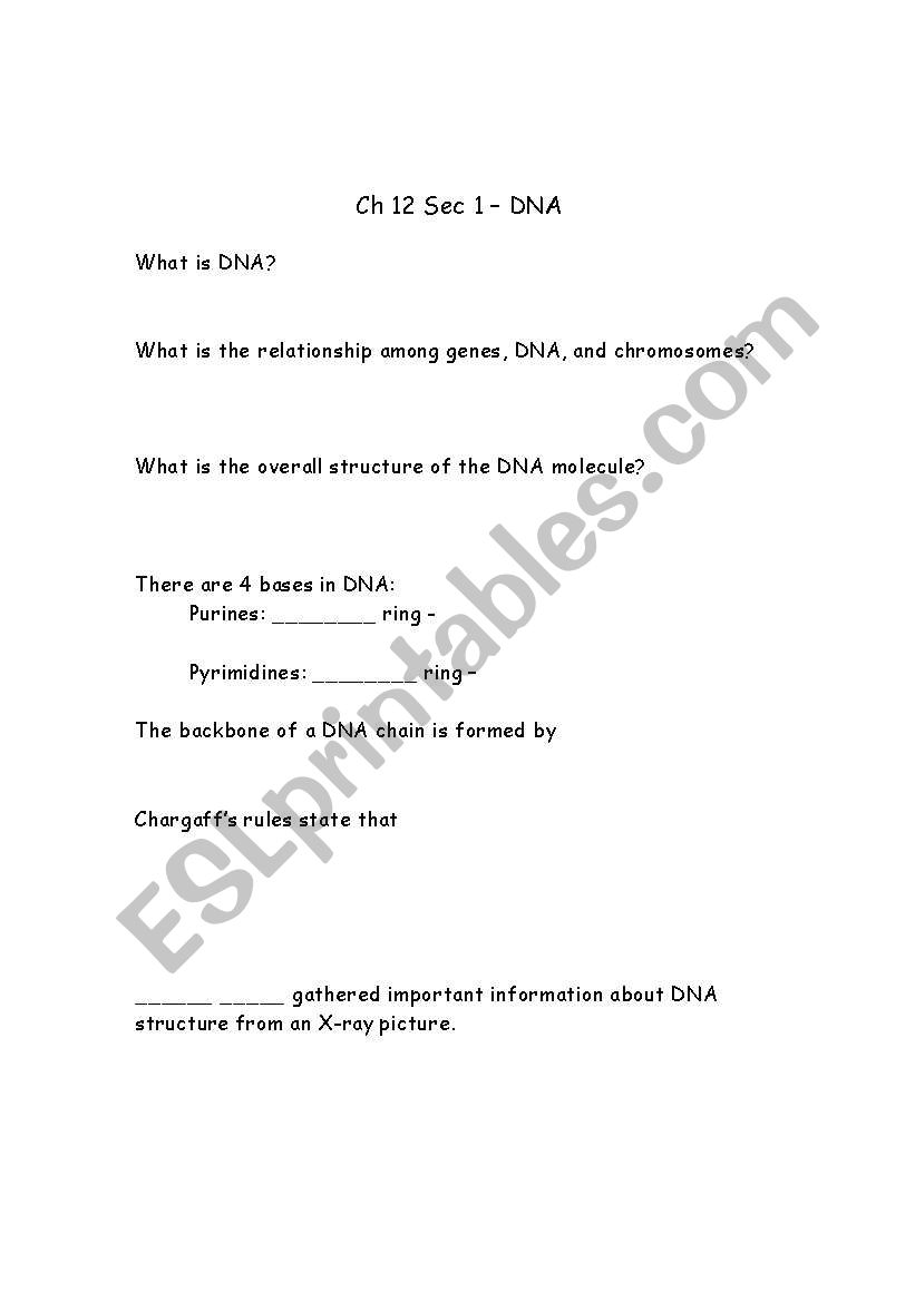 Ch 12 Sec 1 questions worksheet