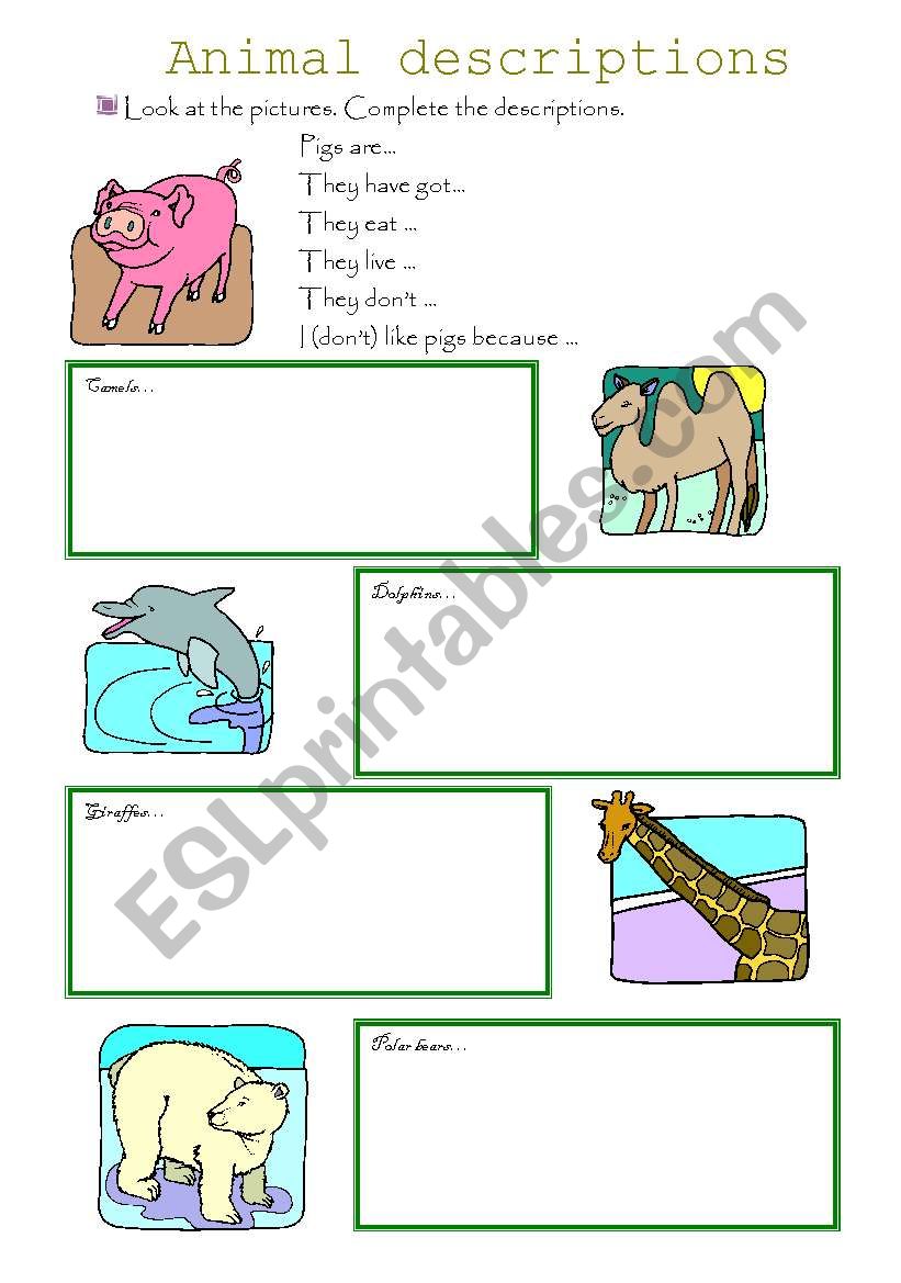 Animal description worksheet