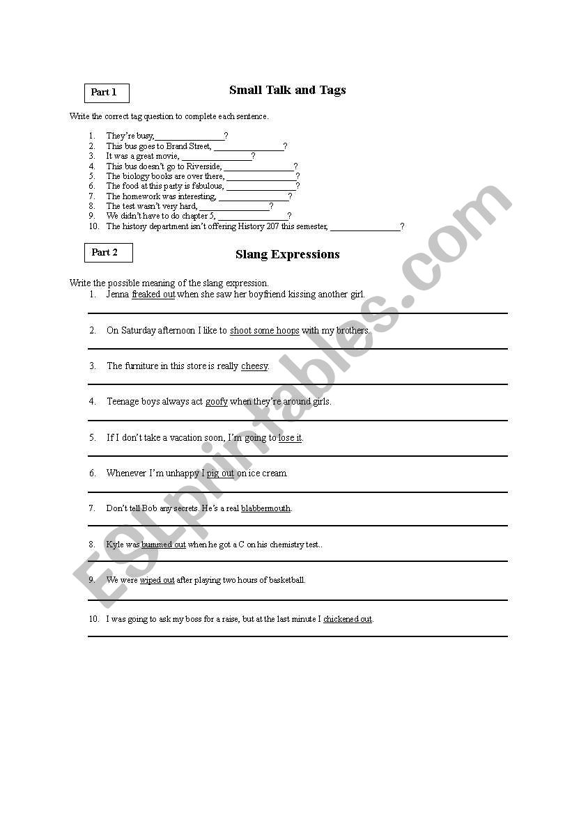 Tags and Slang worksheet