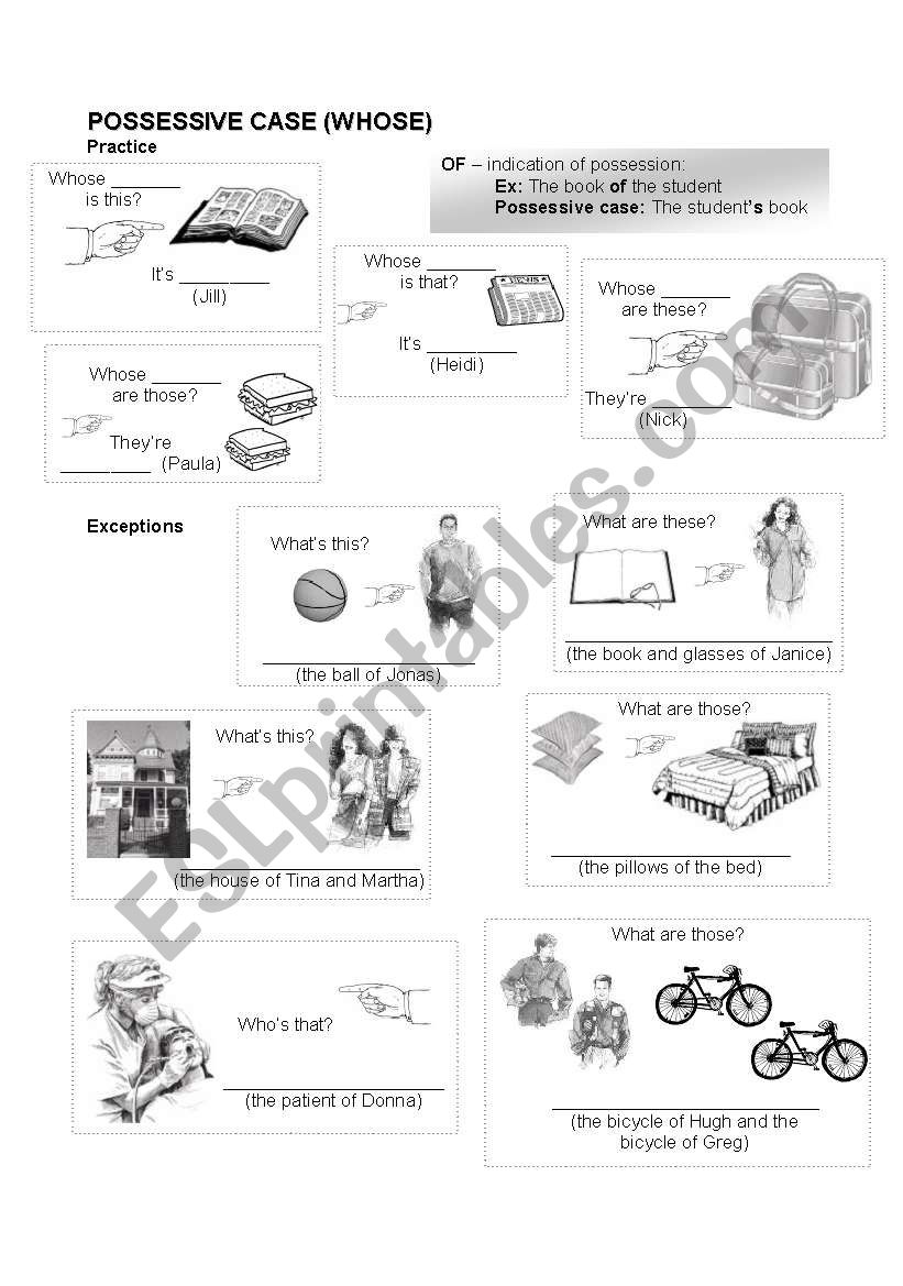 possessive-case-whose-esl-worksheet-by-bruna-dutra