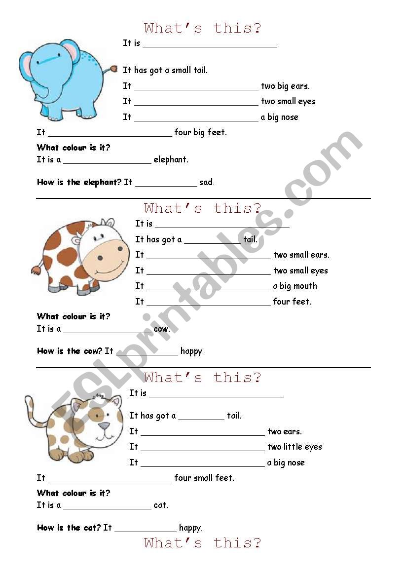 ANIMALS: TO BE AND HAVE GOT worksheet