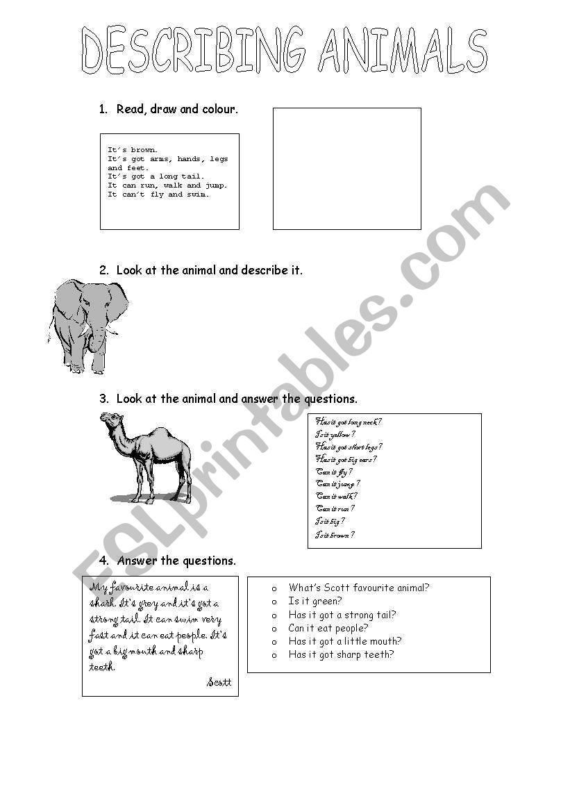 DESCRIBING ANIMALS worksheet