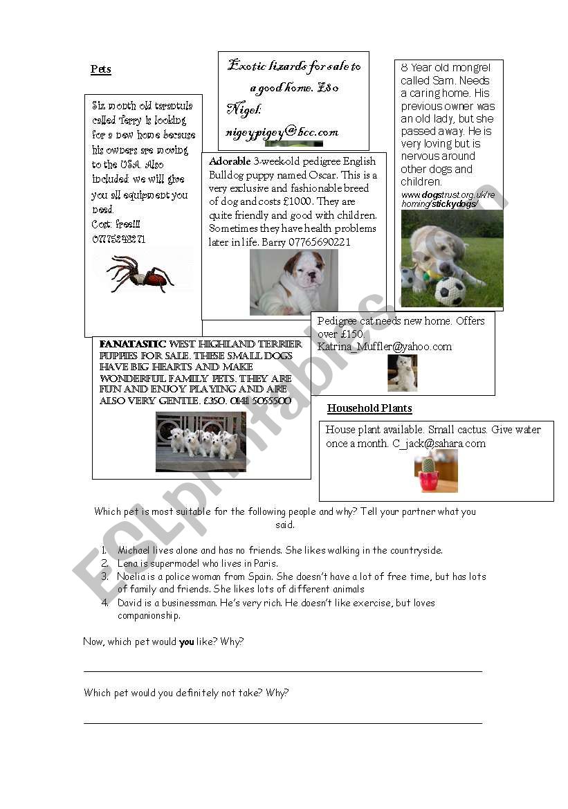 Pet Adverts - Reading and Conversation Practice