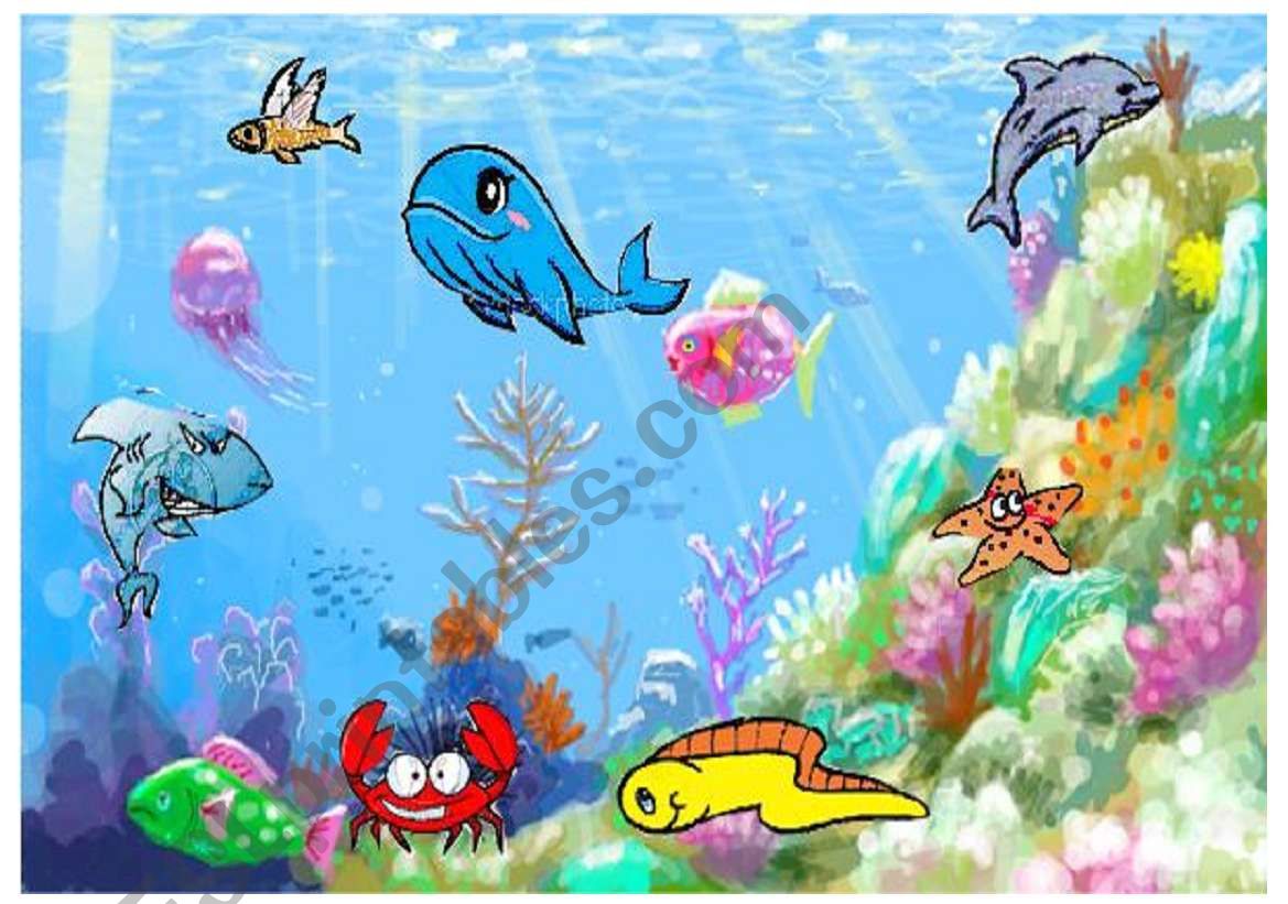 sea animals worksheet