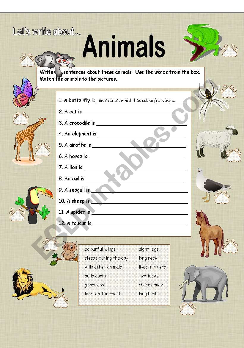 Lets Write about Animals worksheet