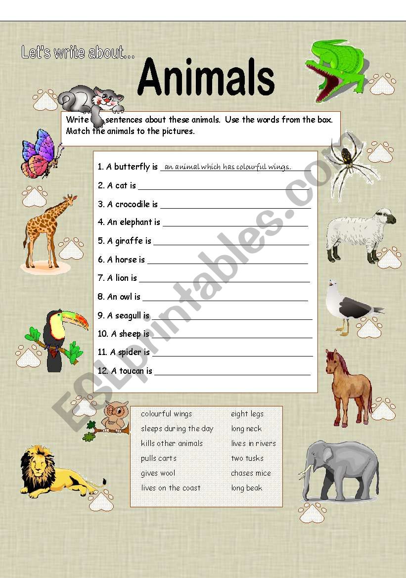 LetÂ´s Write about Animals worksheet