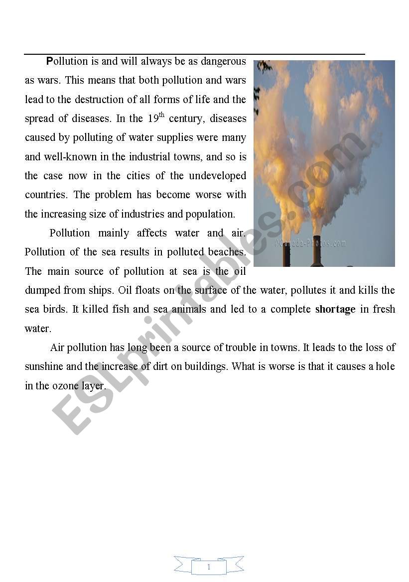 pollution worksheet