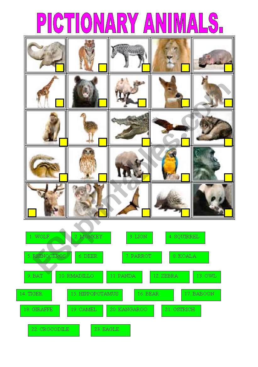 PICTIONARY ANIMALS worksheet